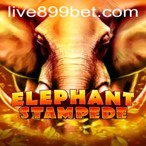 Discover the Thrills of ElephantStampede: A Game-Changing Experience